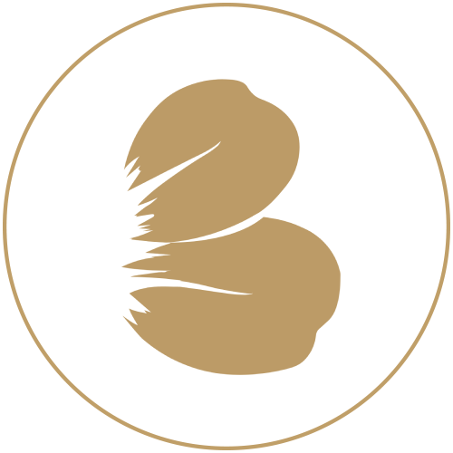 Blossom IsoType